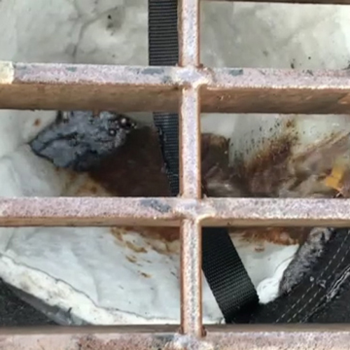 ENPAC Oil-Absorbing Spilltration Cone Insert for Storm Sentinels® (MPN: ENP-OILCONE)